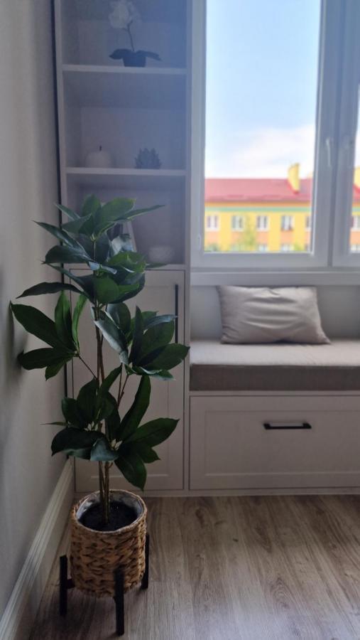 Alfama Garden Leilighet Grudziądz Eksteriør bilde