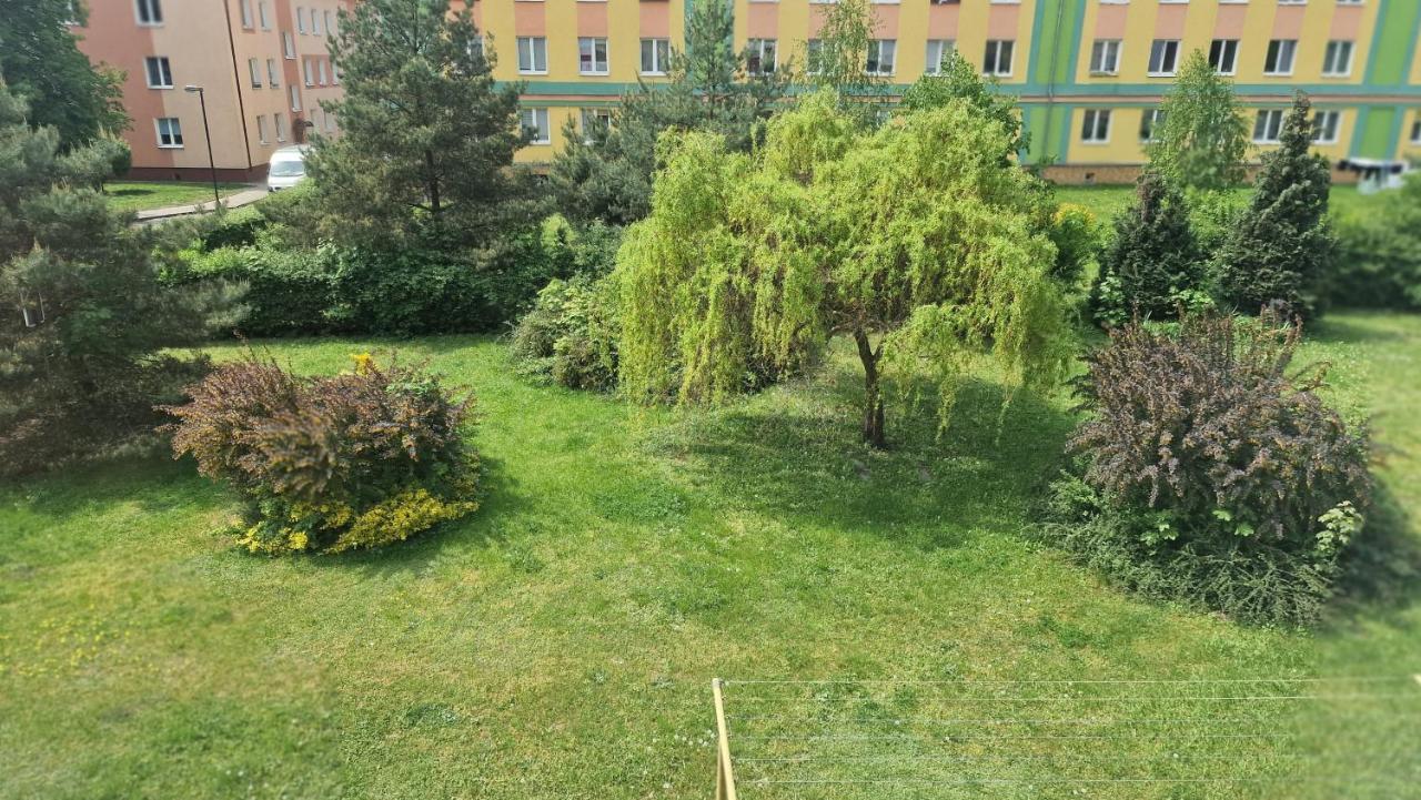 Alfama Garden Leilighet Grudziądz Eksteriør bilde